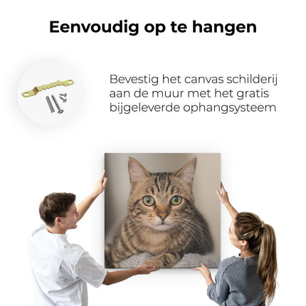 Canvas schilderij ophangen Kat Met Wijde Ogen