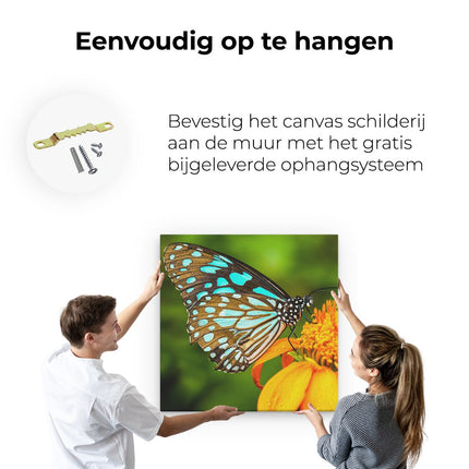 Canvas schilderij ophangen Blauwe Vlinder Bij Een Oranje Bloem