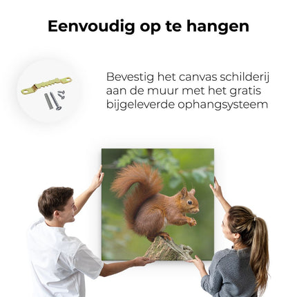 Canvas schilderij ophangen Eekhoorn op een Boomstam in het Bos