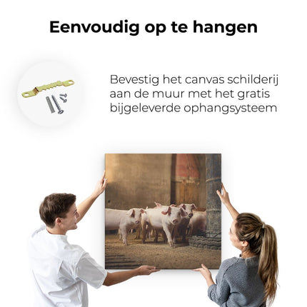 Canvas schilderij ophangen Varkens op een Boerderij Stal