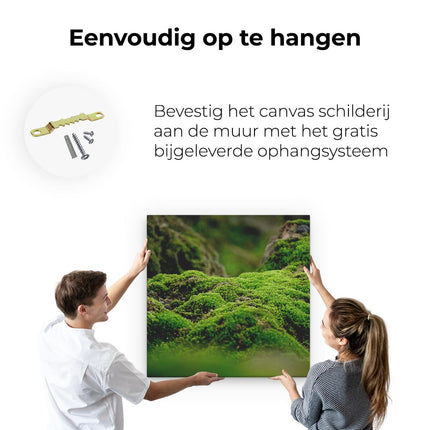 Canvas schilderij ophangen Groen Mos