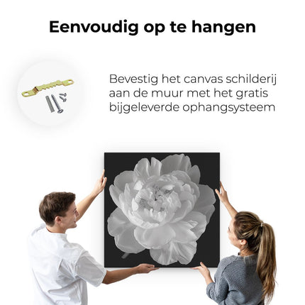 Canvas schilderij ophangen Witte Pioenroos op een Zwarte Achtergrond