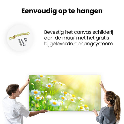 Canvas schilderij ophangen Witte Kamille Bloemen Met Zonneschijn