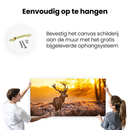 Canvas schilderij ophangen Hert In Bos Tijdens De Zonsopkomst