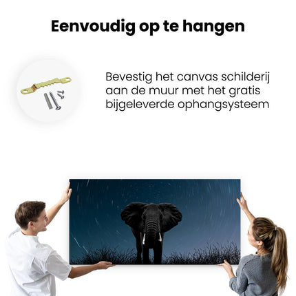 Canvas schilderij ophangen Olifant Omringd Met Sterren 