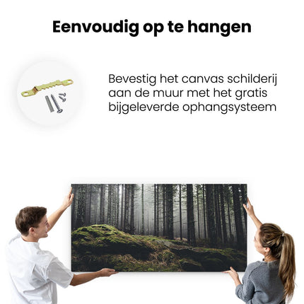 Canvas schilderij ophangen Bos Met Mos Op Rotsen