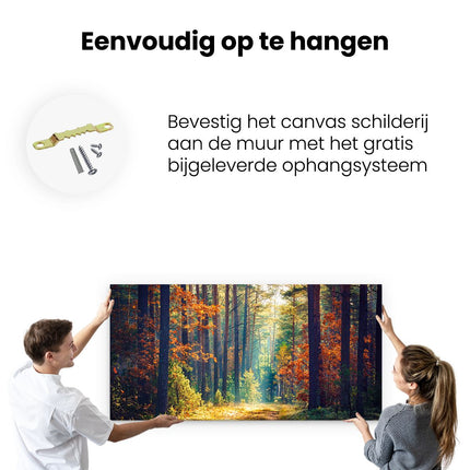 Canvas schilderij ophangen Herfstbos Met Zonneschijn - Kleur