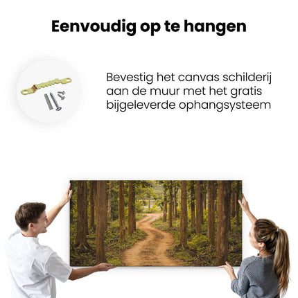 Canvas schilderij ophangen Pad In Het Bos Met Bomen