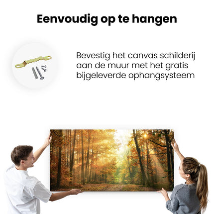 Canvas schilderij ophangen Herfstbos Met Zonneschijn