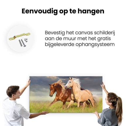 Canvas schilderij ophangen Bruin En Wit Paard In De Wei