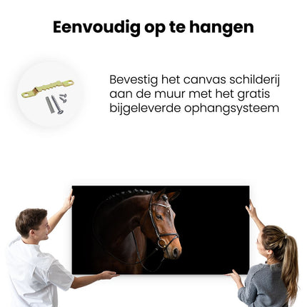 Canvas schilderij ophangen Bruin Paard Op Een Zwart Achtergrond