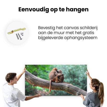 Canvas schilderij ophangen Twee Apen Vrienden Op Een Tak In Een Boom