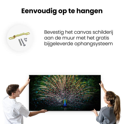 Canvas schilderij ophangen Pauw Met Kleurrijke Veren - Kleur