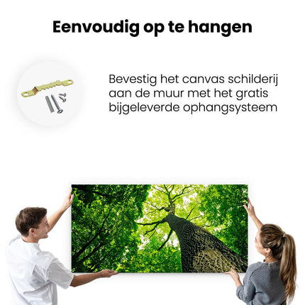 Canvas schilderij ophangen Boom In Het Bos Met Fel Groene Bladeren