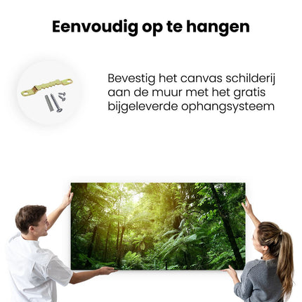 Canvas schilderij ophangen Tropische Jungle Met Zonneschijn