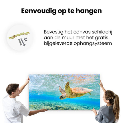 Canvas schilderij ophangen Schildpad Zwemt in de Zee bij het Rif