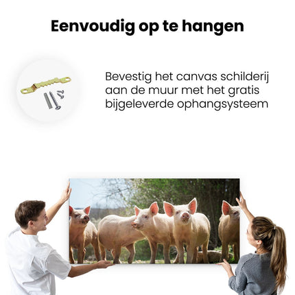 Canvas schilderij ophangen Groep Jonge Varkens