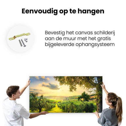 Canvas schilderij ophangen Olijvenbomen - Olijvengaard