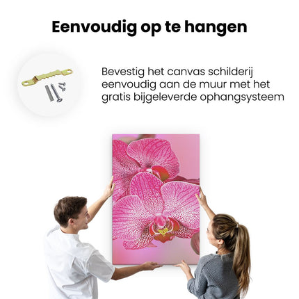 Canvas schilderij ophangen Roze Orchidee Bloemen