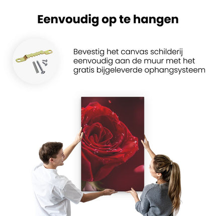 Canvas schilderij ophangen Romantische Rode Roos