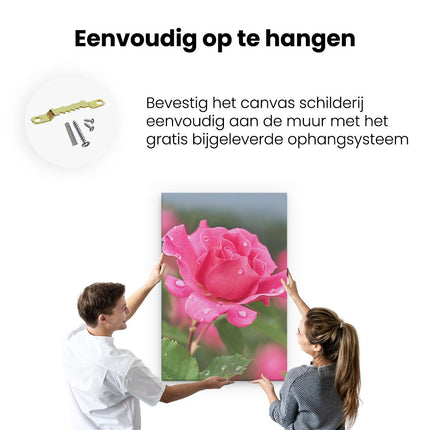 Canvas schilderij ophangen Roze Roos Met Waterdruppels