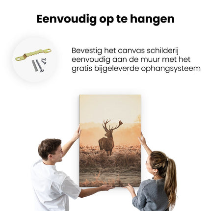 Canvas schilderij ophangen Hert In De Wei Tijdens De Zonsopkomst