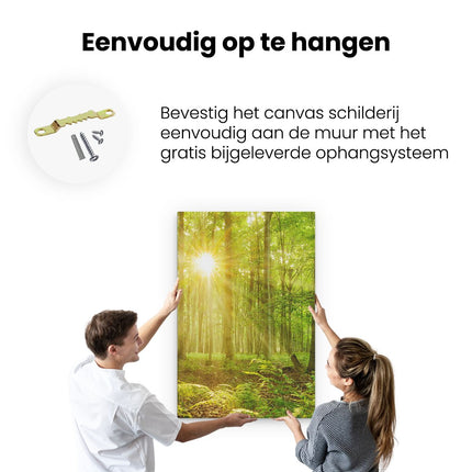 Canvas schilderij ophangen Groen Bos Met Schijnende Zonnestralen