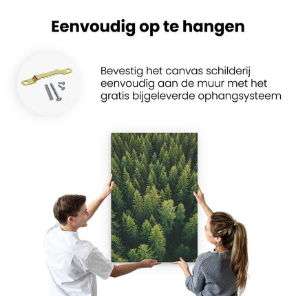 Canvas schilderij ophangen Bos Met Bomen Vanaf Boven