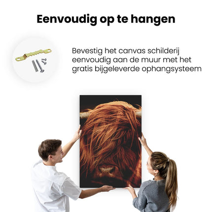 Canvas schilderij ophangen Schotse Hooglander Koeienkop - Kleur