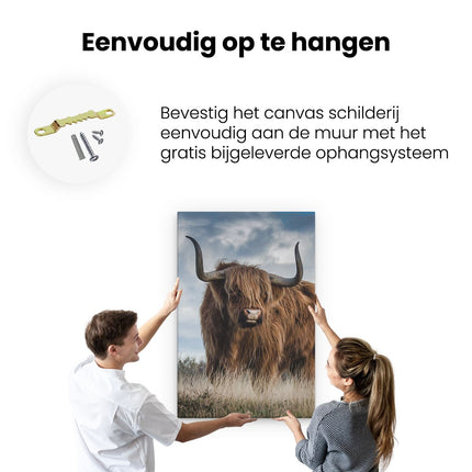 Canvas schilderij ophangen Schotse Hooglander Koe - Kleur