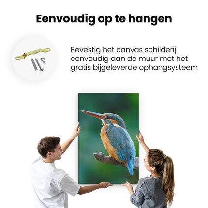 Canvas schilderij ophangen Blauw Oranje IJsvogel Op Een Tak