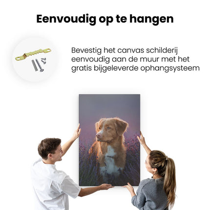 Canvas schilderij ophangen Retriever Hond Tussen De Lavendel Bloemen