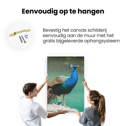 Canvas schilderij ophangen Kleurrijke Pauw Bij Het Water