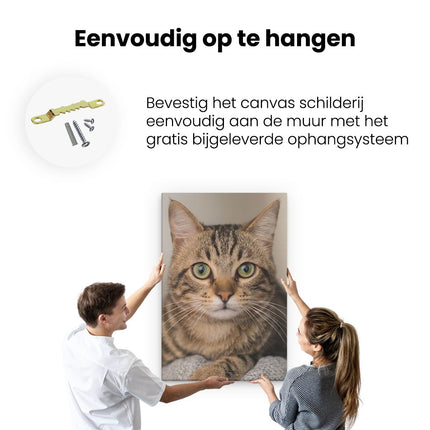 Canvas schilderij ophangen Kat Met Wijde Ogen