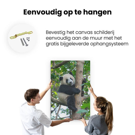 Canvas schilderij ophangen Panda in de Bomen