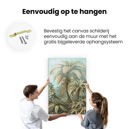 Canvas schilderij ophangen Filicinae 92 - Palmbomen - Ernst Haeckel