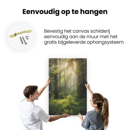 Canvas schilderij ophangen Varens en Bomen in een Bos