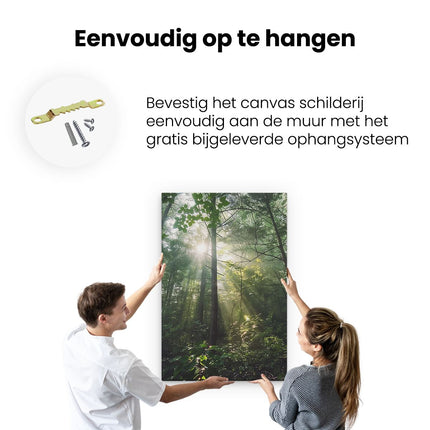 Canvas schilderij ophangen De Zon schijnt door de Bomen in het Bos