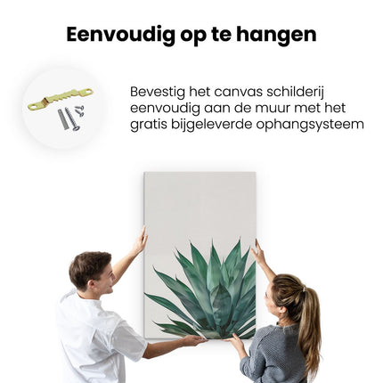 Canvas schilderij ophangen Groene Agave Plant op een Witte Achtergrond