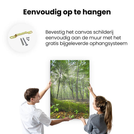 Canvas schilderij ophangen Bosgezicht met Zonlicht