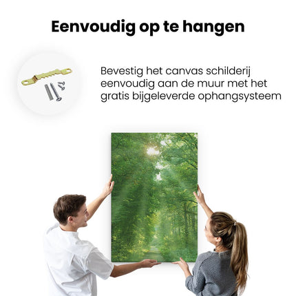 Canvas schilderij ophangen Zonne Pad in het Bos