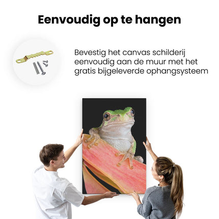 Canvas schilderij ophangen Kikker II