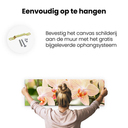 Canvas Schilderij Ophangen Schilderij Hert In Het Landschap