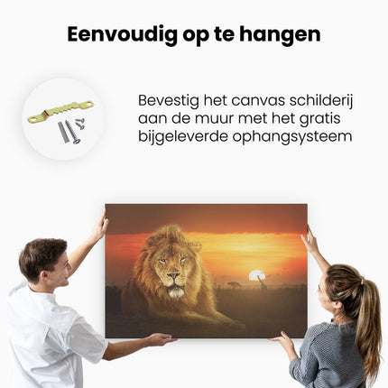 Canvas schilderij ophangen Leeuw In De Savanne - Zonsondergang