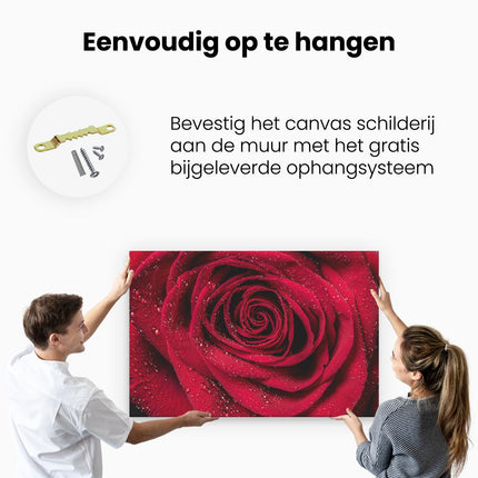 Canvas schilderij ophangen Rode Roos Met Waterdruppels - Bloem