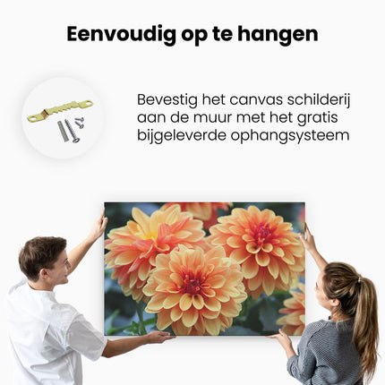 Canvas schilderij ophangen Oranje Dahlia Bloemen 