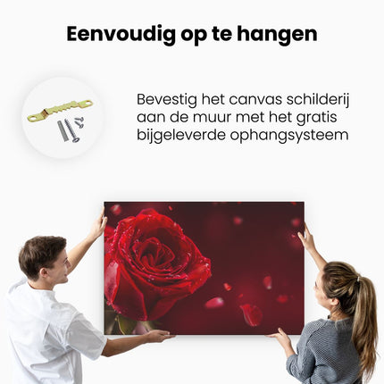 Canvas schilderij ophangen Romantische Rode Roos