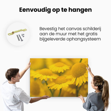 Canvas schilderij ophangen Gele Kamille Bloemen