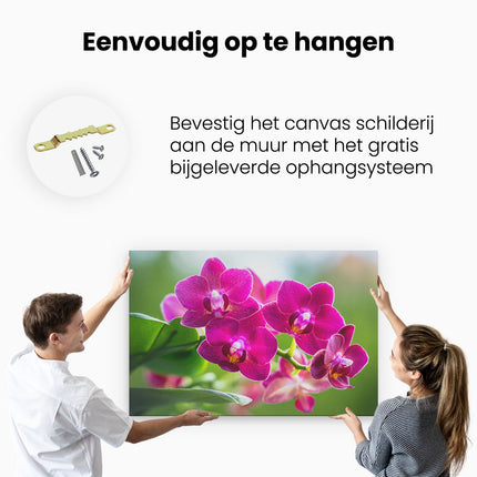 Canvas schilderij ophangen Roze Orchidee Bloemen