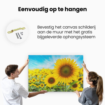 Canvas schilderij ophangen Zonnebloemen Veld 